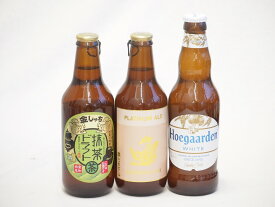 地域が生んだクラフトビール3本セット(金しゃちビール抹茶ドラフトalc6％(愛知県) 金しゃちビールプラチナエールalc5％(愛知県) ヒューガルデンホワイトalc5％(韓国)) 330ml×3本