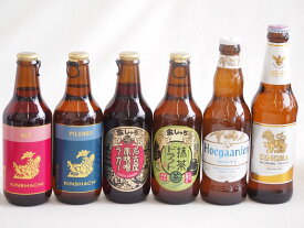地域が生んだクラフトビール6本セット(金しゃちビール抹茶ドラフトalc6％(愛知県) 金しゃちビールピルスナーalc5％(愛知県) 金しゃちビール名古屋赤味噌ラガーalc6％(愛知県) 金しゃちビール金鯱アルトalc5％(愛知県) ヒューガルデンホワイト