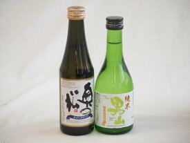 【最大2000円オフクーポン16日1:59迄】優雅に広がる奥の松の余韻と、香りでときめくフルーティーな地酒2本セット(奥の松 純米大吟醸スパークリング（福島県） 盛田 純米男山（愛知県）) 290ml×1本 330ml×1本