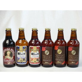 クラフトビールパーティ6本セット インペリアル・スタウト330ml　IPA感謝ビール330ml　金しゃちピルスナー330ml　金しゃちアルト330ml