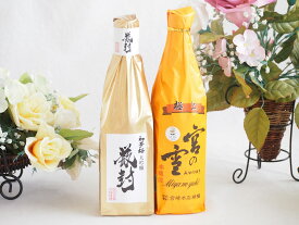 贅沢な日本酒2本セット(金鯱初夢桜 厳封大吟醸(愛知) 宮の雪極上(三重)) 720ml×2本