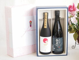 【最大47倍お買い物マラソン中】贅沢な日本酒感謝ボックス2本セット(金鯱大吟醸(愛知) 鈴鹿川純米大吟醸(三重)) 720ml×1本 750ml×1本