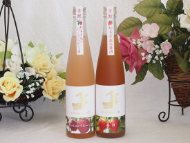 愛知果物キュール2本セット(日本酒ブレンドパッションフルーツ 日本酒ブレンド苺酒) 500ml×2本