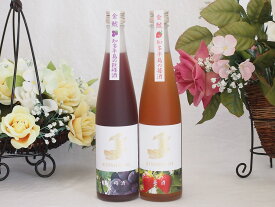 愛知果物キュール2本セット(純米酒ブレンド巨峰 日本酒ブレンド苺酒) 500ml×2本