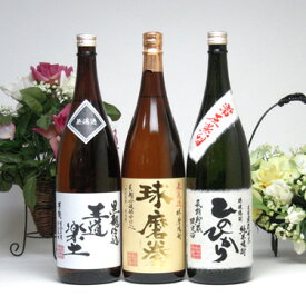 熊本県恒松酒造厳選セット(芋焼酎 王道楽土 球磨焼酎 無濾過球磨拳 純米焼酎 長期貯蔵限定酒ひのひかり)1800ml×3本