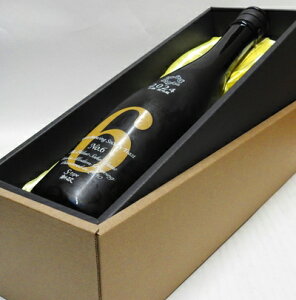 No.6 S-type [���ċ����]