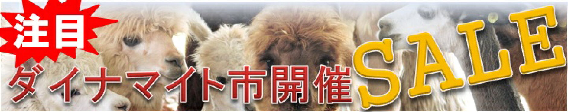 ダイナマイト市セール