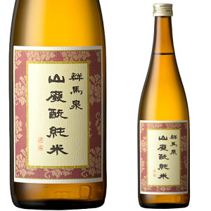   Mtg Qn RpĎ 720ml  {  Ε ̓ ̓ hV̓ v[g yY 蕨 j O Z[