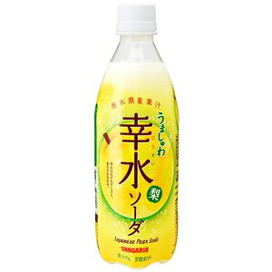 ܂ K\[_ 500ml×24{ PET
