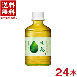 mn@L@@zbgR[h@280PET@1P[X24{@i280mlji300ji̔\jiHOTECOLDjiKIRINjLrobW