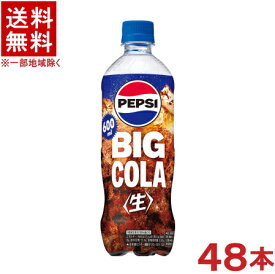 ［飲料］★送料無料★※2ケースセット　サントリー　ペプシ〈生〉　BIG　COLA　（24本＋24本）600mlPETセット　（48本セット）（500）（自販機可・手売り可）（ペプシコーラ）（PEPSI）SUNTORY