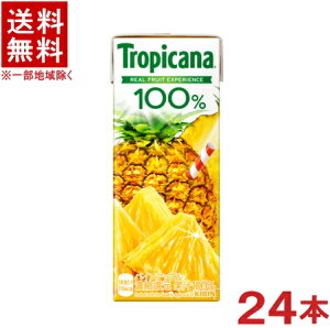 mn@gsJ[i@100@pCAbv@250mlpbN@1P[X24{@iZkҌjipCibvjiKIRINjLrobW