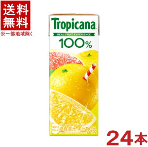 mn@gsJ[i@100@O[vt[c@250mlpbN@1P[X24{@iZkҌjiKIRINjLrobW