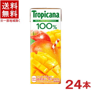 mn@gsJ[i@100@}S[uh@250mlpbN@1P[X24{@iZkҌjiKIRINjLrobW