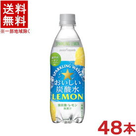 ［飲料］★送料無料★※2ケースセット　ポッカサッポロ　【おいしい炭酸水　レモン】　（24本＋24本）500mlPETセット　（48本セット）（スパークリングウォーター）（強炭酸・無糖）（pokka　sapporo）