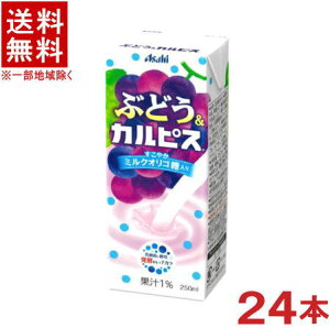 �m�����n���������������@�G���r�[�@�Ԃǂ����J���s�X�@250ml�p�b�N�@1�P�[�X24�{����@�i�u�h�E�E�����E�O���[�v�j�iCALPIS�j