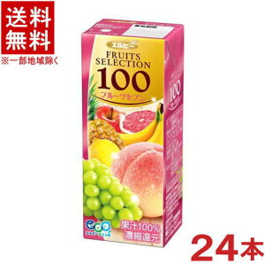 mn@Gr[@t[cZNV@t[cZu@100@200ml@1P[X24{@iZkҌji250j