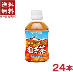 mn@ɓ@N~lނ@280mlPET@1P[X24{@i24{ZbgjiEMjiITOENj