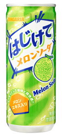 ［飲料］2ケースまで同梱可★サンガリア　はじけて　メロンソーダ　250ml缶　1ケース30本入り　（30本セット）（250g）（SANGARIA）