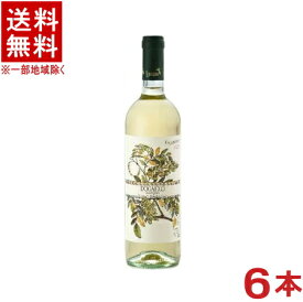 ［ワイン］★送料無料★※6本セット　カルピネート　ドガヨーロ　白　750ml　6本　（辛口）（白ワイン）（イタリア）合同酒精