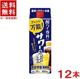 ［焼酎甲類］★送料無料★※2ケースセット　酎ハイ専科　サワーの素　25％　（6本＋6本）【900mlパック】セット　（12本セット）（スリムパック ）（25度）（無炭酸）（ゴードー）（GODO）合同酒精