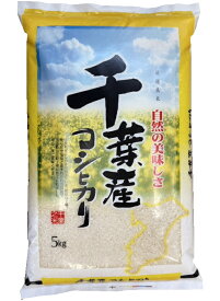 ［食品］6個まで同梱可★令和7年産　千葉県産コシヒカリ　白米　5kg　1個　（1袋）（5キロ）（お米・こめ）（こしひかり）