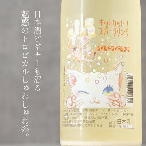 �O�F�e �݂悵���� kitcat sparkling �L�b�g�J�b�g �X�p�[�N�����O ���ċ�� 720ml �O�F�e�� �������O�D�s ���{�� �n�� ���N�[���֑Ή�