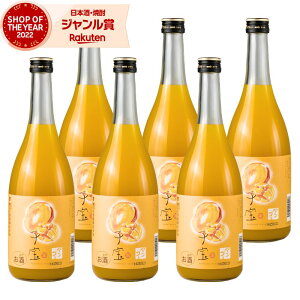 L[ q }S[ 8x 720ml ×6{ |̐ |  Mtg Ε ~Mtg NX}X a j j  ƈ