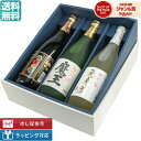 父の日 遅れてごめんね 送料無料 芋焼酎 飲み比べセット 魔王 元老院 白玉の露 720ml×3本 白玉醸造 まおう いも焼酎 焼酎 ギフト お酒 父の日ギフト お中元 御中元 誕生日 内祝 お祝い 宅飲み 家飲み