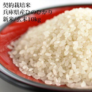 yVāzߘa7NxY@ɌYЂ̂Ђy10Kgz