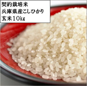 yߘa6NxYz@ ɌY(OgRjЂ@10L@yāz