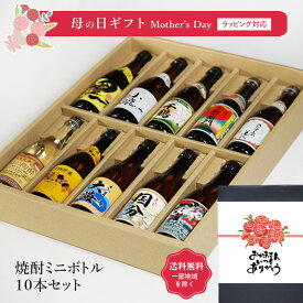 【ギフト対応可】焼酎 ミニボトル 詰め合わせ 100ml 合計10本 10種類 芋 8種 麦 1種 黒糖 1種 本格焼酎 厳選 飲み比べ セット 地域別 送料無料 焼酎 お酒 酒 プレゼント 飲み比べ 内祝い 誕生日 男性 女性 母の日