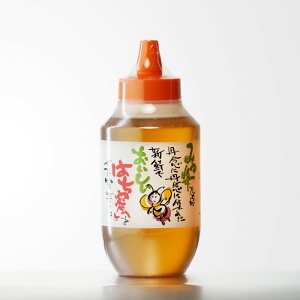 }\P2{ ͂i݂͂Hij {I 1000O  I ݂͂ Mtg v[g ݔ j a j  Ε Ε