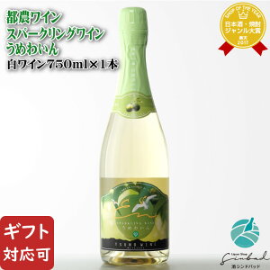 yMtgΉzs_C Xp[NO߂킢 750ml {茧 C Xp[NOC ~  Mtg v[g ݔ j a j  Ε Ε