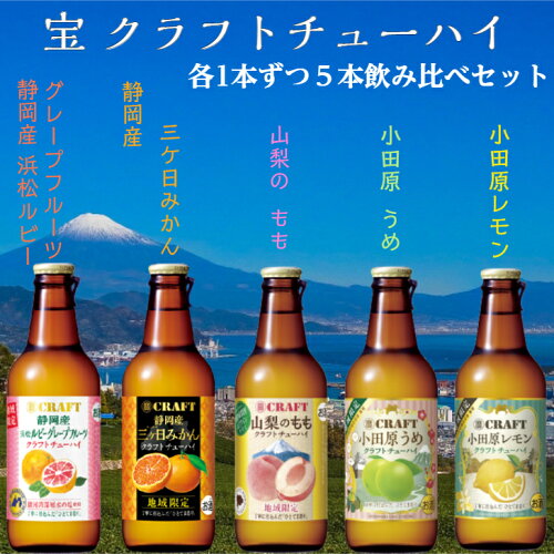 宝 クラフトチューハイ 330ml 5本 飲み比べ セット 酎 ハイ 飲み比べ クラフトチューハイ 飲み比べ クラフト...