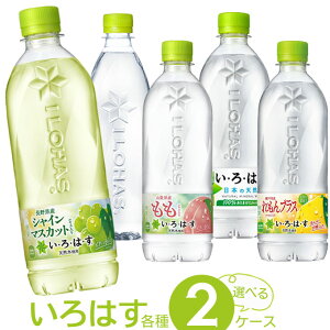 [10ItN[|10/3-18] Iׂ ͂ ǂZbg y540~560ml×48{(2P[X)z@b@yz EÉE  500 48 ybg{g xX  xX VC}XJb