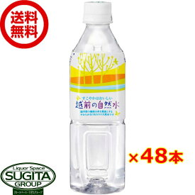 越前の自然水 【500ml×48本(2ケース)】 国産ミネラルウォーター ペットボトル 送料無料 倉庫出荷