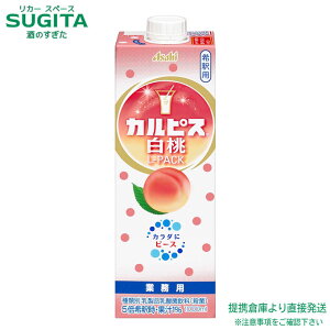 �A�T�q���� �J���s�X ���� �R���N ��ߗp ���t �p�b�N 1000ml �y1L×12�{(2�P�[�X)�z ���_�� ���� �p�b�N ��e�� �������� �q�ɏo��