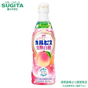 ATq JsX n RN ߗp t y470ml×48{(4P[X)z  s[` _ 500 ybg{g  qɏo