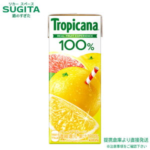 L gsJ[i 100% O[vt[c pbN y250ml×24{(1P[X)z ^ pbN Ot W[X  qɏo