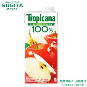 L gsJ[i 100% Abv 1000ml pbN y1L×18{(3P[X)z pbN  W[X  qɏo