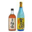 御歳暮 日本酒 ギフト 贅沢三昧セット 金沢金箔入り金乃澤720ml 梅酒720ml 2本ギフトセット 飲み比べ プレゼント 贈答用 内祝い 誕生日 結婚祝い 還暦祝い 退職祝い 記念日 お祝い おしゃれ 酒好きにおすすめ 特別な贈り物
