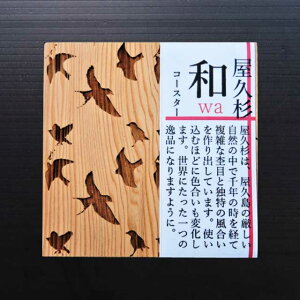 v aR[X^[ 璹 ċʗZHv R[X^[ a ؐ VR