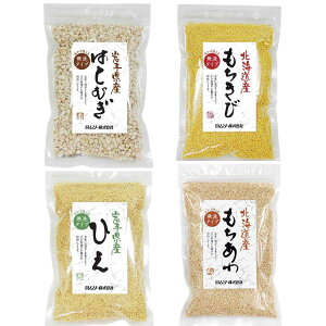 m4̎Gn \[̎GZbg EЂE͂ƂނEсysEڕsEtwEԎwsz