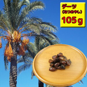 ドライフルーツ ドライデーツ なつめやしの実 1パック・105g