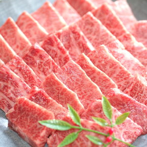 Pt@[ ѕP OpoE[XēZbg200g×2Zbg H-15 [J[@ s@Mtg  a јa [X ēp