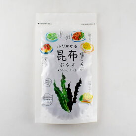 大阪昆布フジイ　こんぶ　昆布プラス塩昆布　75g