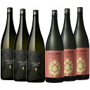 2025年3月13日より出荷予定！だいやめ・チルグリーン bitter&tropical 25度 1800ml×各3本 計6本 焼酎 濱田酒造※北海道・東北地区は、別途送料1000円が発生します。