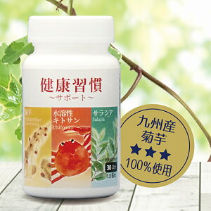 LgTHi@enLgTTVA@300mg×180@54g@@ Yn Es@e Ck nLgT GCWOPA