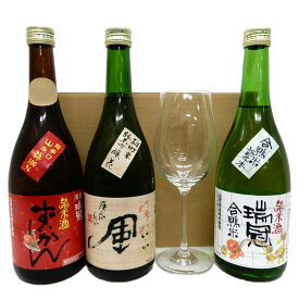 ワイングラスでおいしく飲める日本酒3本セット[グラス付き(無料)]　　瑞冠 純米、純米吟醸、純米合鴨米720ml